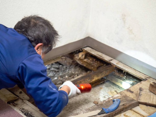 Crawl Space Mold Removal in Varnville, SC