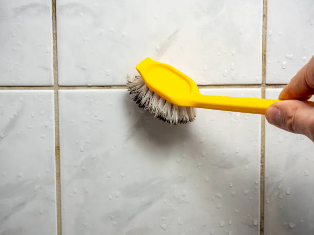 Best Mold Damage Repair  in Varnville, SC